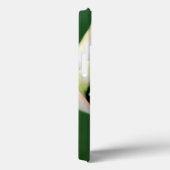 Afrikaanse lelie, Agapanthus Praecox, Kaapstad Case-Mate iPhone Case (Achterkant / Rechts)