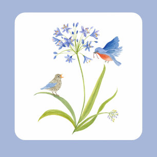 Afrikaanse lelie met blauwe vogelmoeder en baby vierkante sticker