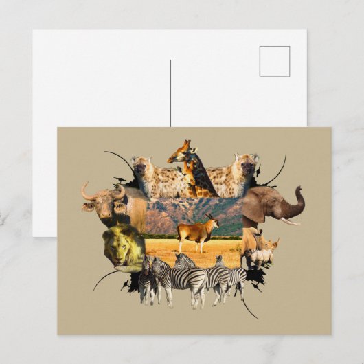 Afrikaanse Lijst in het wild, Eland Mountain Briefkaart (Voorkant / Achterkant)