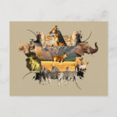 Afrikaanse Lijst in het wild, Eland Mountain Briefkaart (Voorkant)