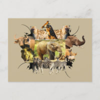Afrikaanse Lijst van wilde dieren Elephant Splash