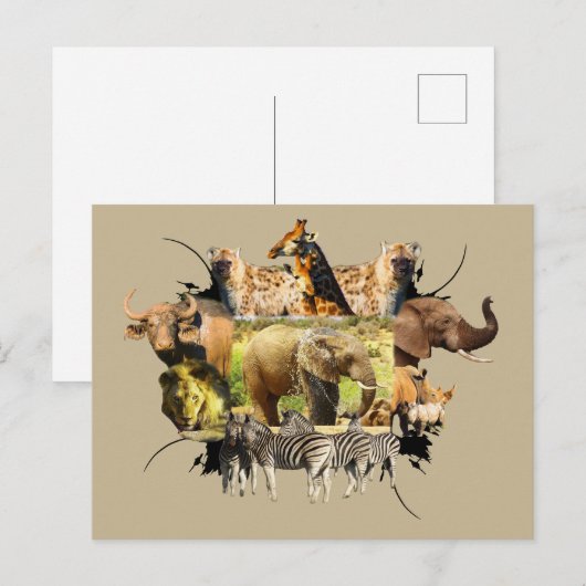 Afrikaanse Lijst van wilde dieren Elephant Splash Briefkaart (Voorkant / Achterkant)