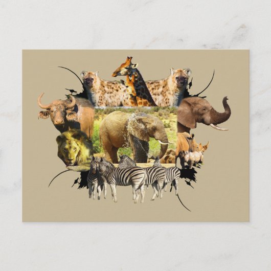 Afrikaanse Lijst van wilde dieren Elephant Splash Briefkaart (Voorkant)