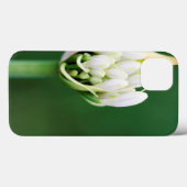 Afrikaanse Lily, Agapanthus Praecox, Kaapstad Case-Mate iPhone Case (Achterkant (horizontaal))