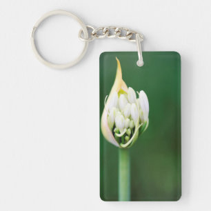 Afrikaanse Lily, Agapanthus Praecox, Kaapstad Sleutelhanger