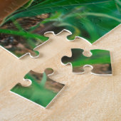 Afrikaanse Lily (Agapanthus Praecox), Mala Mala Legpuzzel (Zijkant)