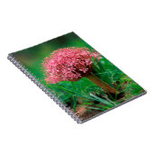 Afrikaanse Lily (Agapanthus Praecox), Mala Mala Notitieboek (Rechterzijde)