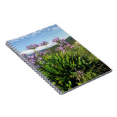 Afrikaanse Lily (Agapanthus praecox), Mossel Bay Notitieboek (Rechterzijde)