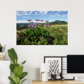 Afrikaanse Lily (Agapanthus praecox), Mossel Bay Poster (Thuiskantoor)