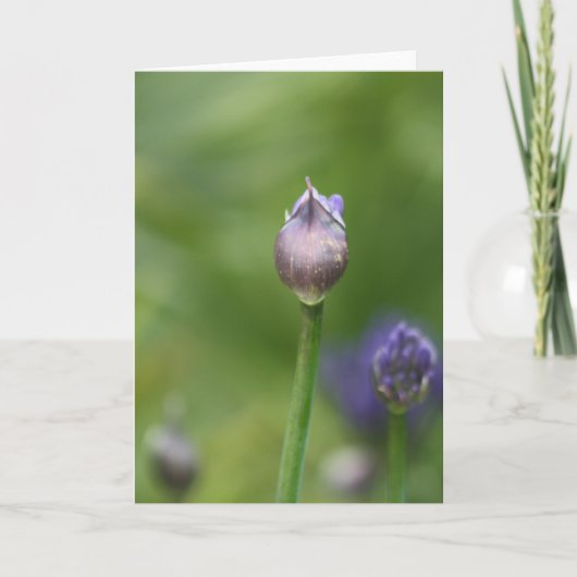 Afrikaanse Lily-kaart Bedankkaart (Voorkant)