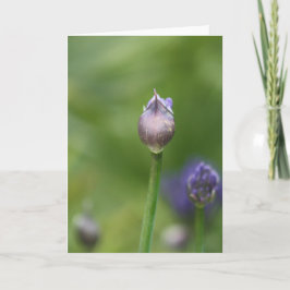 Afrikaanse Lily-kaart Bedankkaart