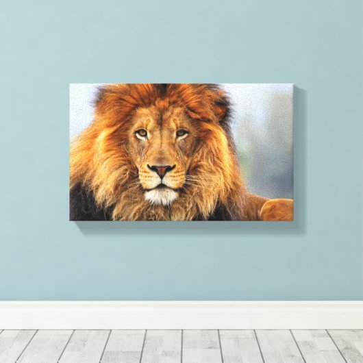 Afrikaanse lion 1 canvas afdruk (Insitu (Houten vloer))