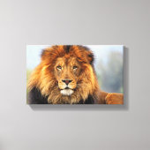 Afrikaanse lion 1 canvas afdruk (Voorkant)