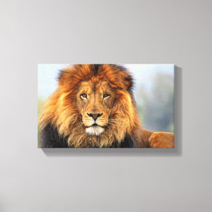 Afrikaanse lion 1 canvas afdruk