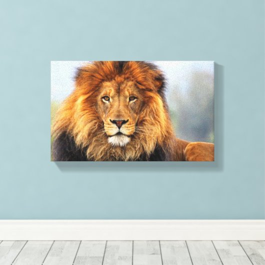 Afrikaanse lion 1 canvas afdruk (Insitu (Houten vloer))