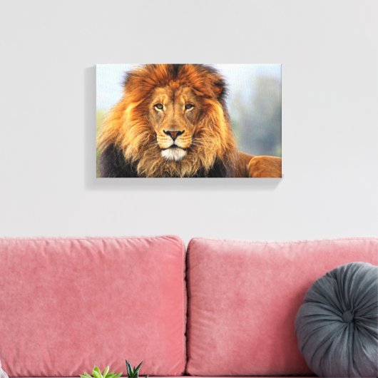 Afrikaanse lion 1 canvas afdruk (Insitu (Woonkamer))