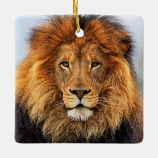 Afrikaanse lion 1 keramisch ornament (Voorkant)