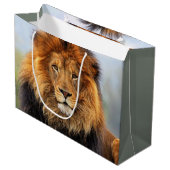 Afrikaanse lion 1 large cadeautasje (Voorkant Gekanteld)
