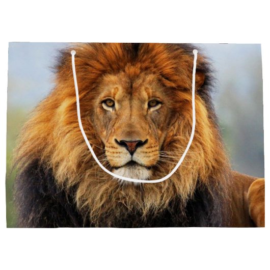 Afrikaanse lion 1 large cadeautasje (Achterkant)