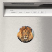 Afrikaanse lion 1 magneet (Insitu (Vaatwasser))