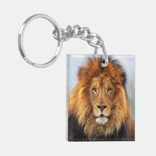 Afrikaanse lion 1 sleutelhanger (Voorkant Links)