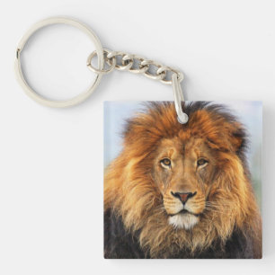 Afrikaanse lion 1 sleutelhanger