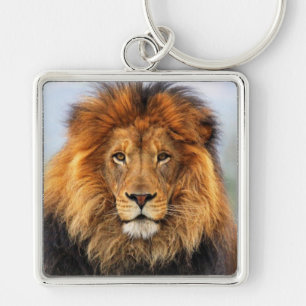 Afrikaanse lion 1 sleutelhanger