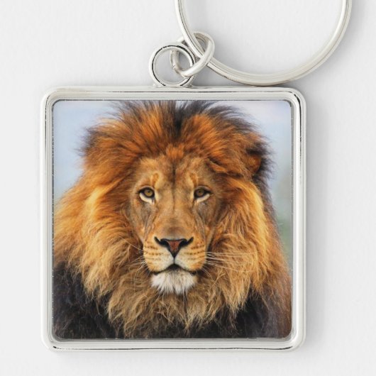 Afrikaanse lion 1 sleutelhanger (Voorkant)