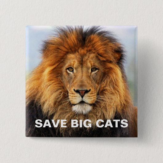 Afrikaanse lion 1 vierkante button 5,1 cm (Voorkant)