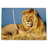 Afrikaanse Lion 2 Groot Cadeauzakje (Voorkant)