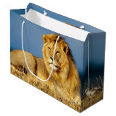 Afrikaanse Lion 2 Groot Cadeauzakje (Voorkant Gekanteld)