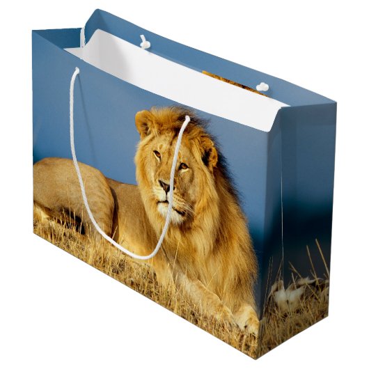 Afrikaanse Lion 2 Groot Cadeauzakje (Voorkant Gekanteld)