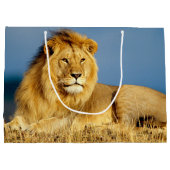 Afrikaanse Lion 2 Groot Cadeauzakje (Achterkant)
