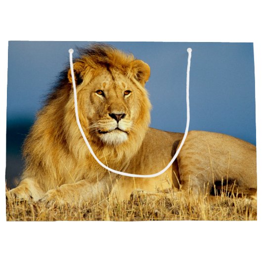 Afrikaanse Lion 2 Groot Cadeauzakje (Achterkant)