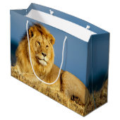 Afrikaanse Lion 2 Groot Cadeauzakje (Achterkant Gekanteld)