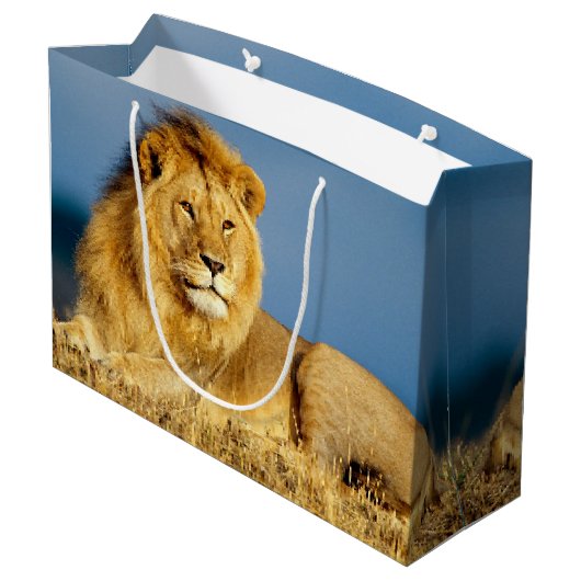 Afrikaanse Lion 2 Groot Cadeauzakje (Achterkant Gekanteld)