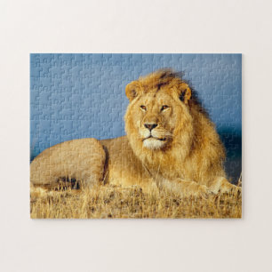 Afrikaanse Lion 2 Legpuzzel