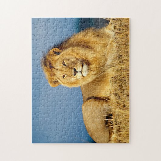 Afrikaanse Lion 2 Legpuzzel (Verticaal)