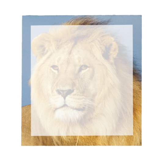Afrikaanse Lion 2 Notitieblok (Voorkant)