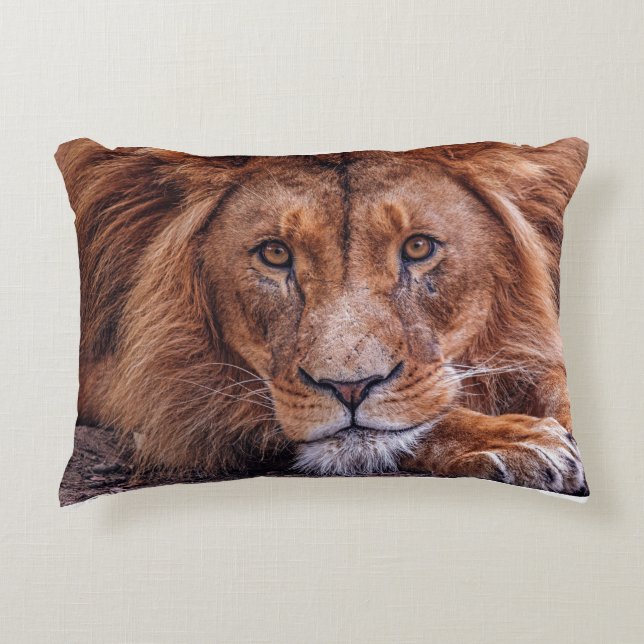 Afrikaanse lion accent kussen (Voorkant)