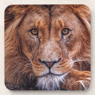Afrikaanse lion bier onderzetter