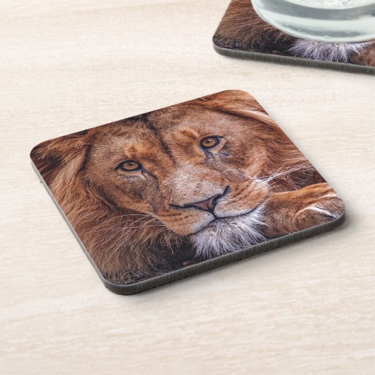 Afrikaanse lion bier onderzetter (Linkerzijde)