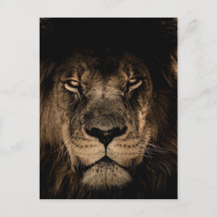 Afrikaanse lion briefkaart