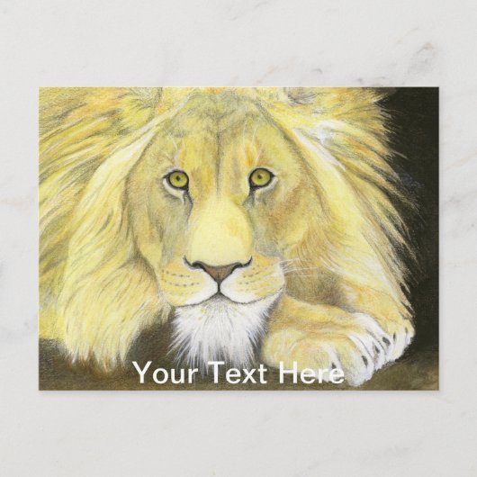 Afrikaanse lion briefkaart (Voorkant)