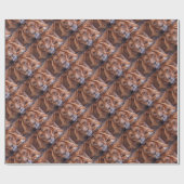 Afrikaanse lion cadeaupapier (Vlak)