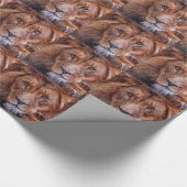Afrikaanse lion cadeaupapier (Hoek)