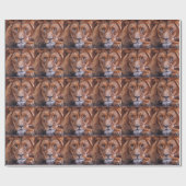 Afrikaanse lion cadeaupapier (Vlak)