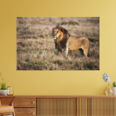 Afrikaanse lion canvas afdruk (Insitu (Woonkamer))