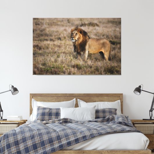 Afrikaanse lion canvas afdruk (Insitu (Slaapkamer))
