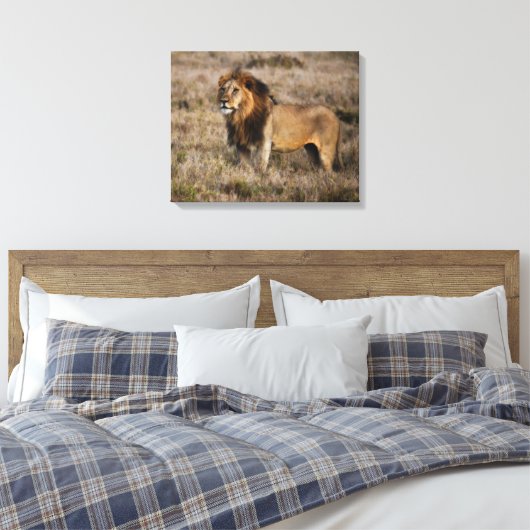 Afrikaanse lion canvas afdruk (Insitu (Slaapkamer))